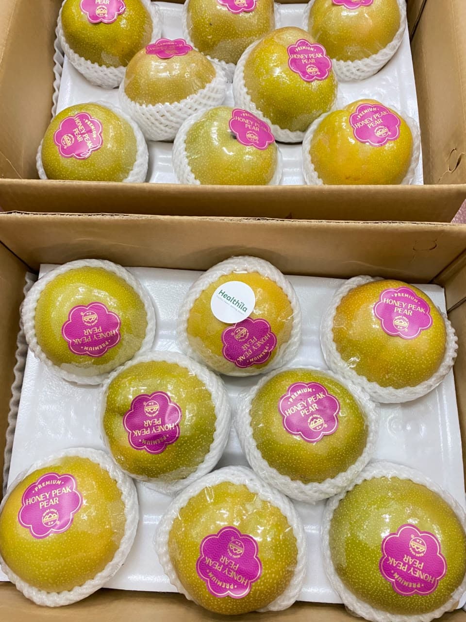 Honey Peak Pear - Wangshan