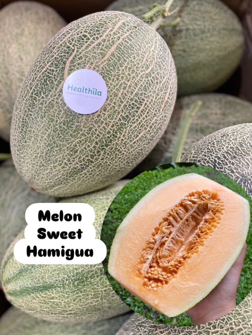 Melon Sweet Hami