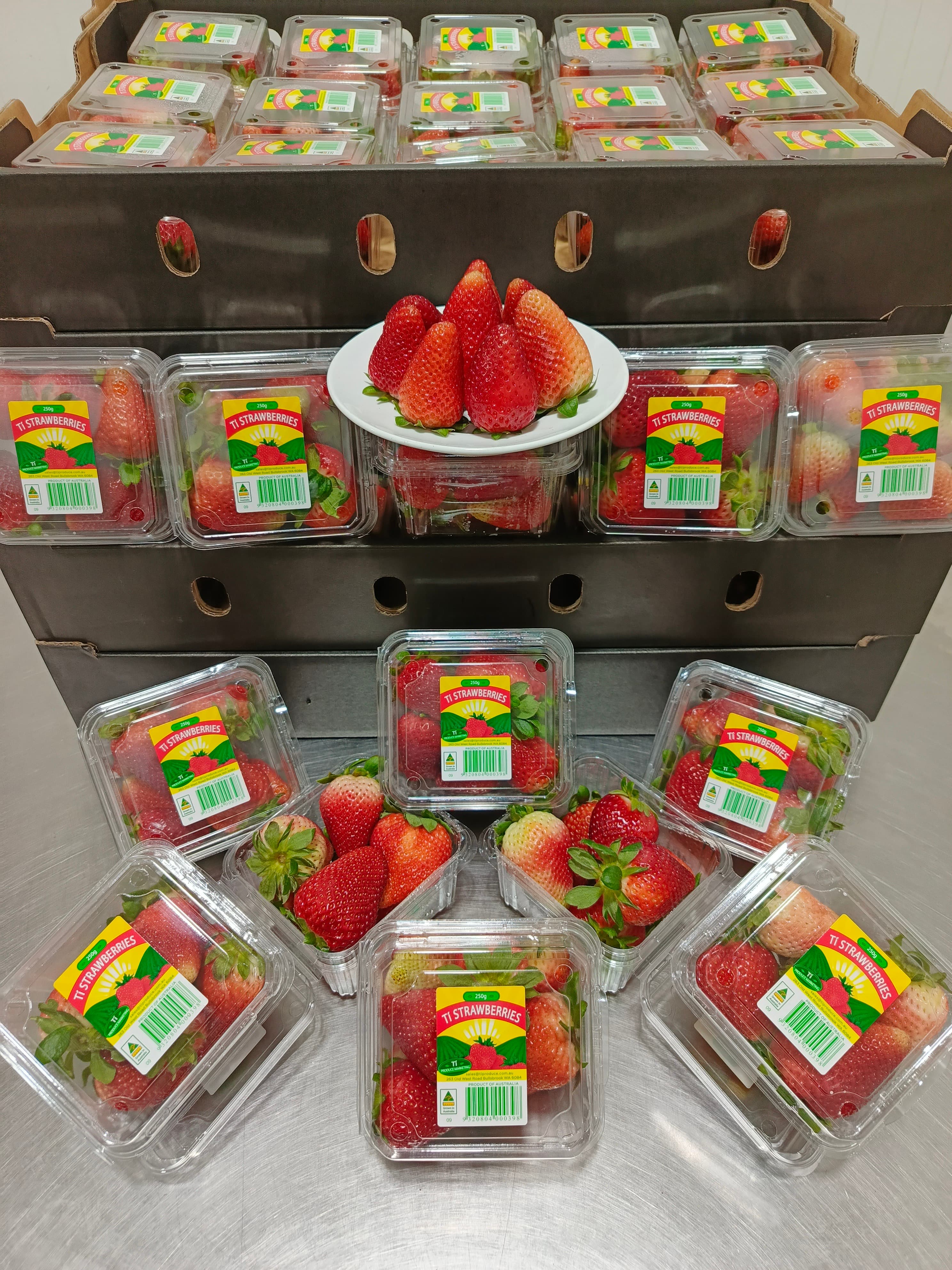 Strawberry Jumbo Australia Pack 250gr - Ti Strawberry