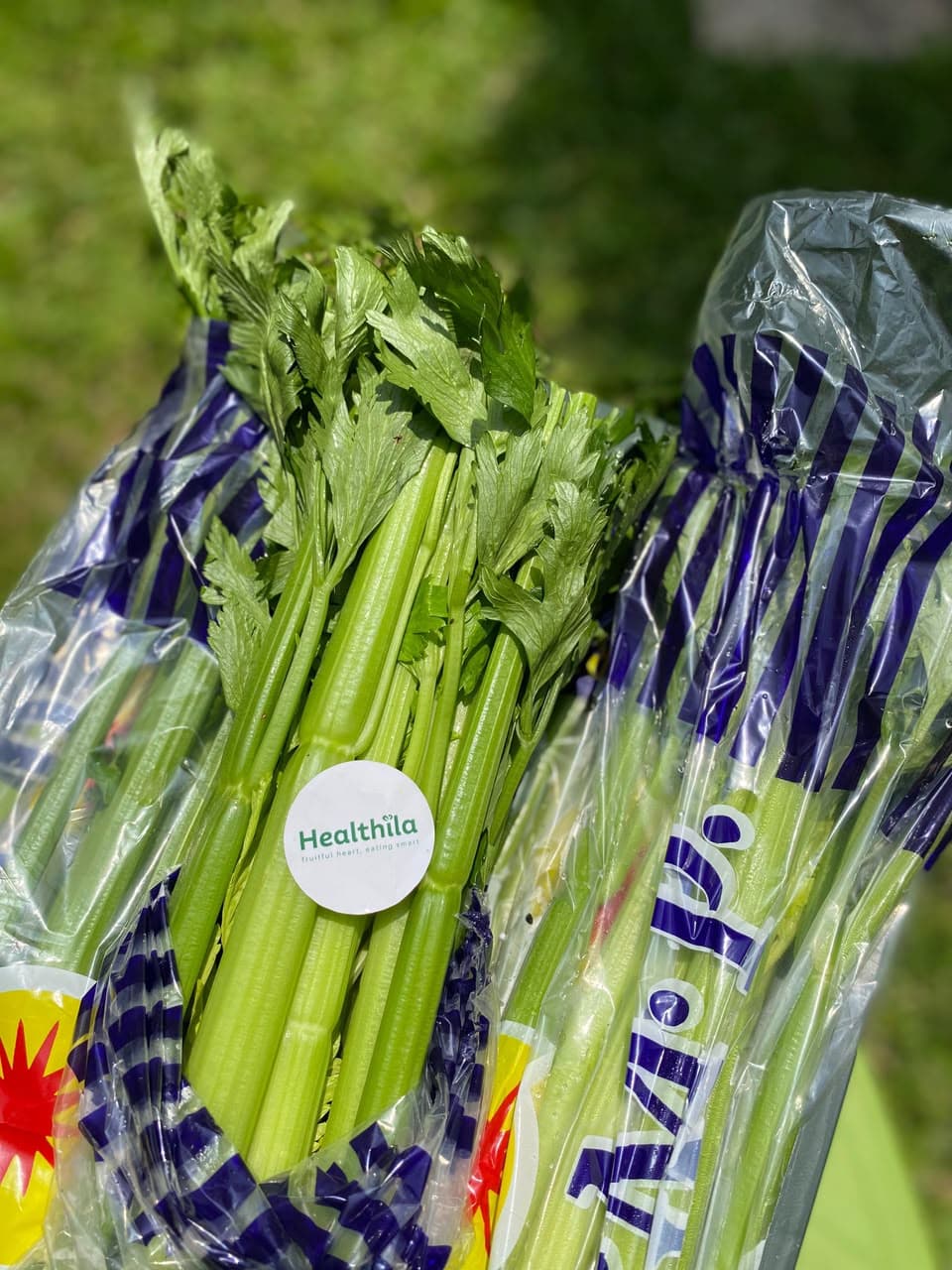 Celery Stick Import RRC - 108