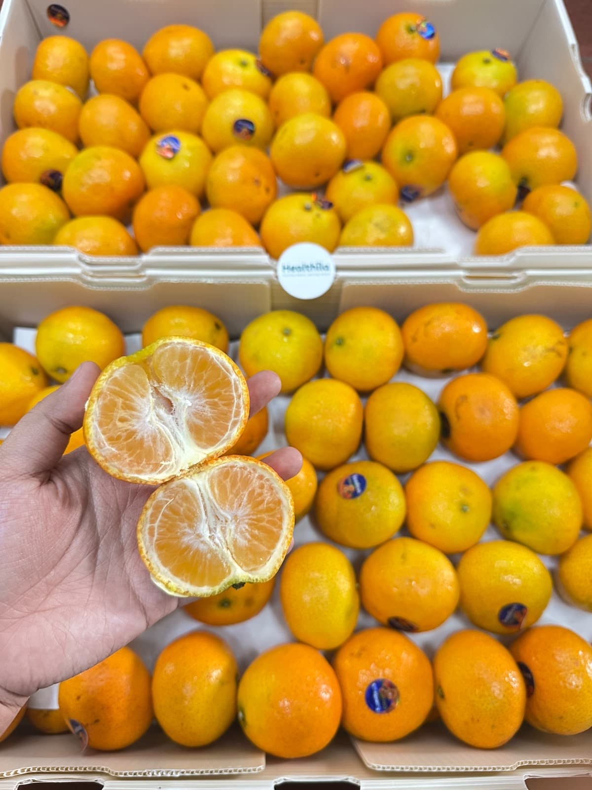 Jeruk Wogan Mandarin Seedless - New Sweety