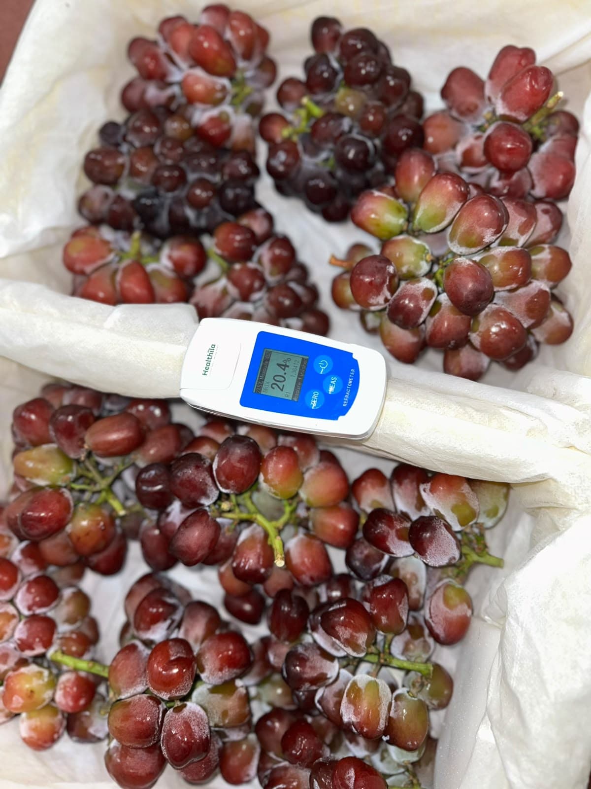 Anggur Red Muscat Jumbo Los - Lucky Fruit