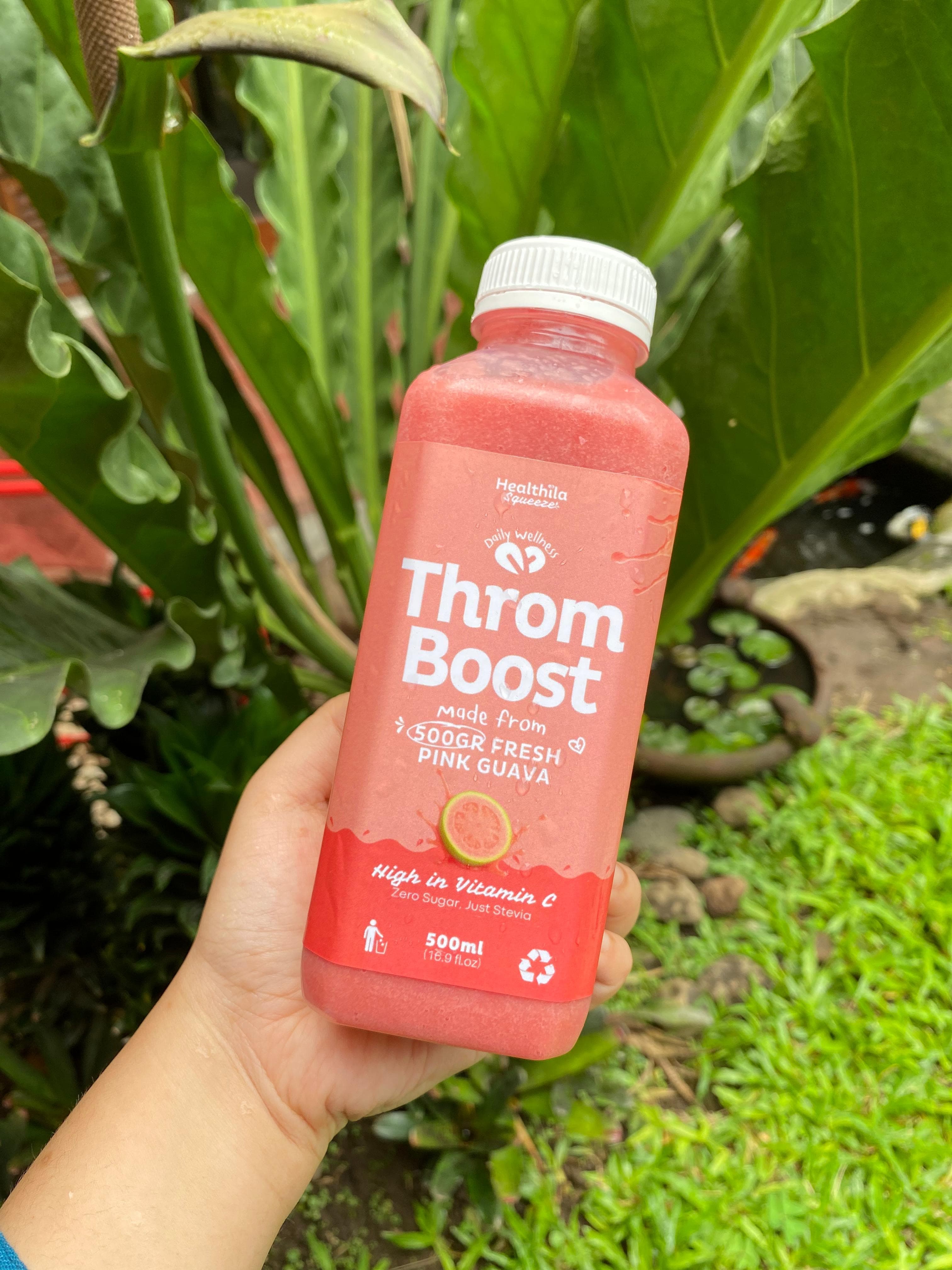 Jus Jambu Merah 500ml - Thromboost