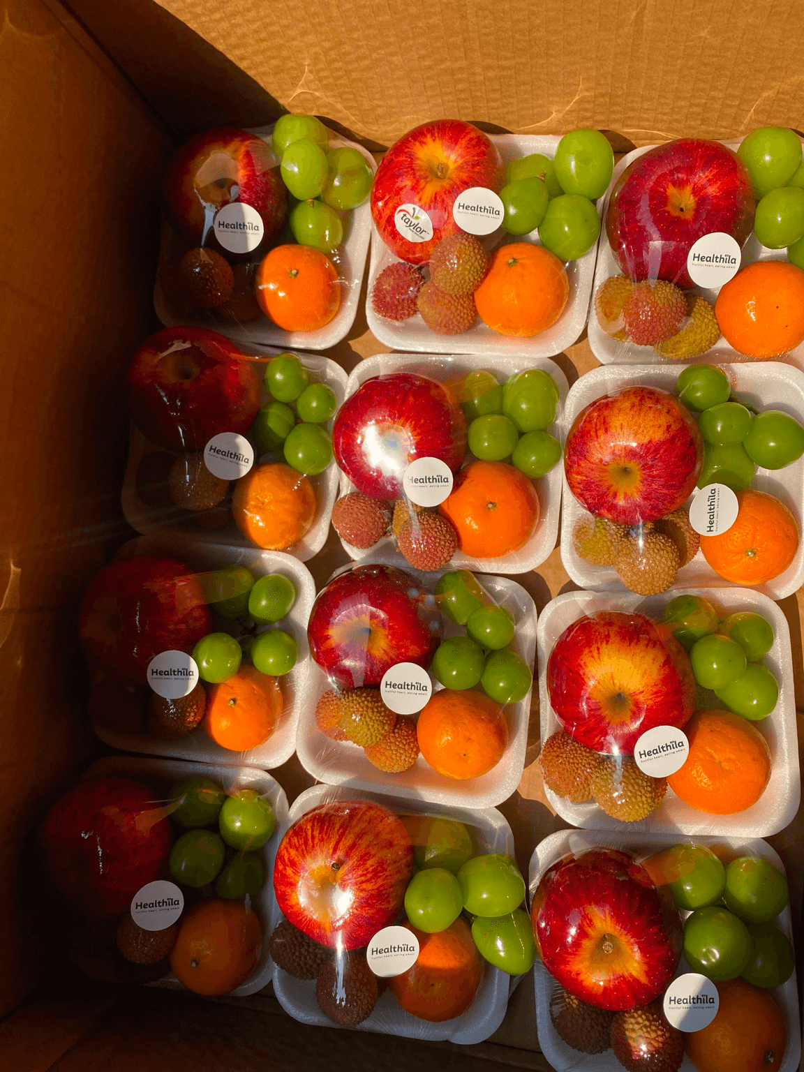 Parcel Fruit Foam