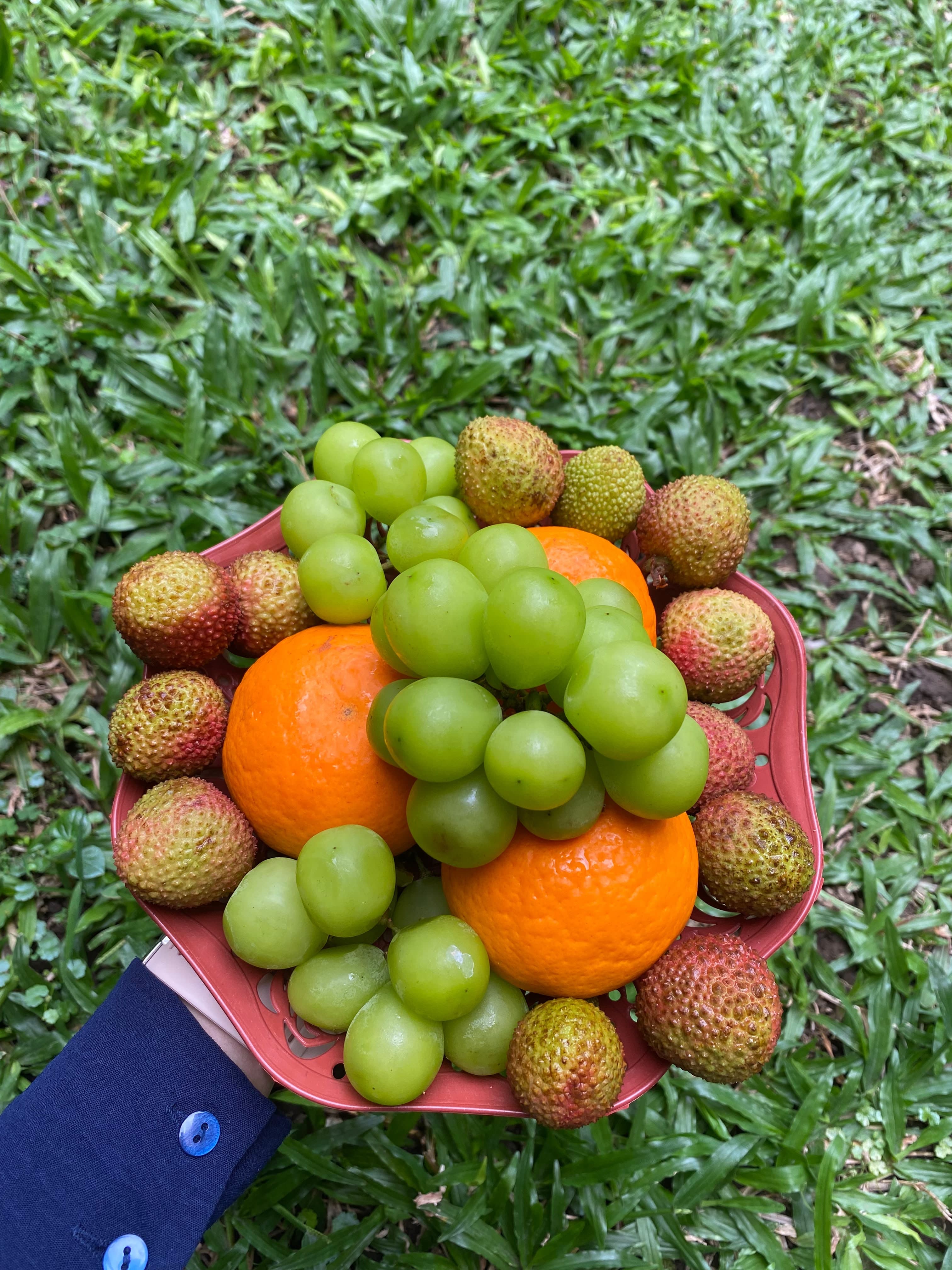 Parcel Buah Piring Fruit Plate