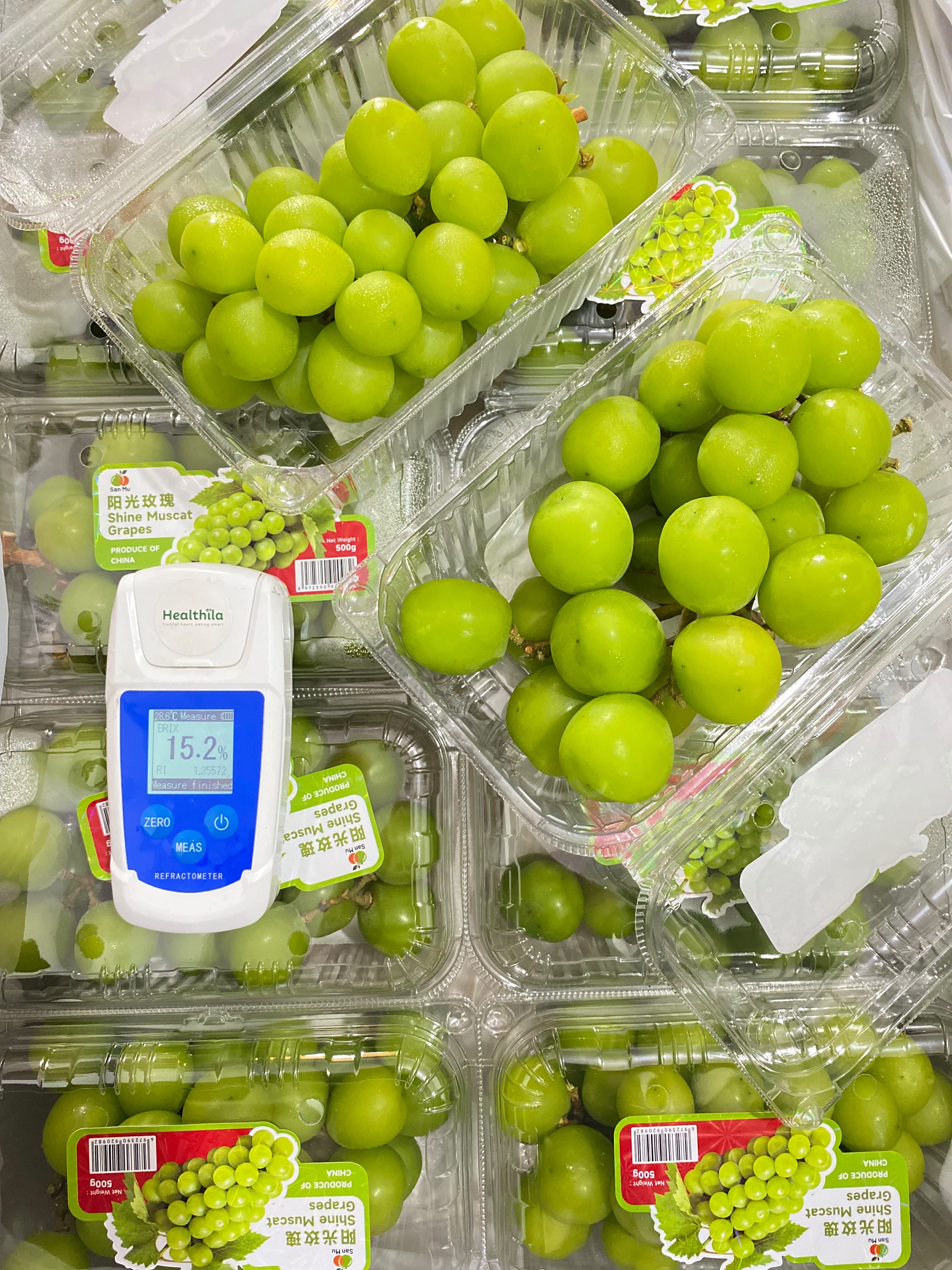 Anggur Green Muscat Pack - HDL