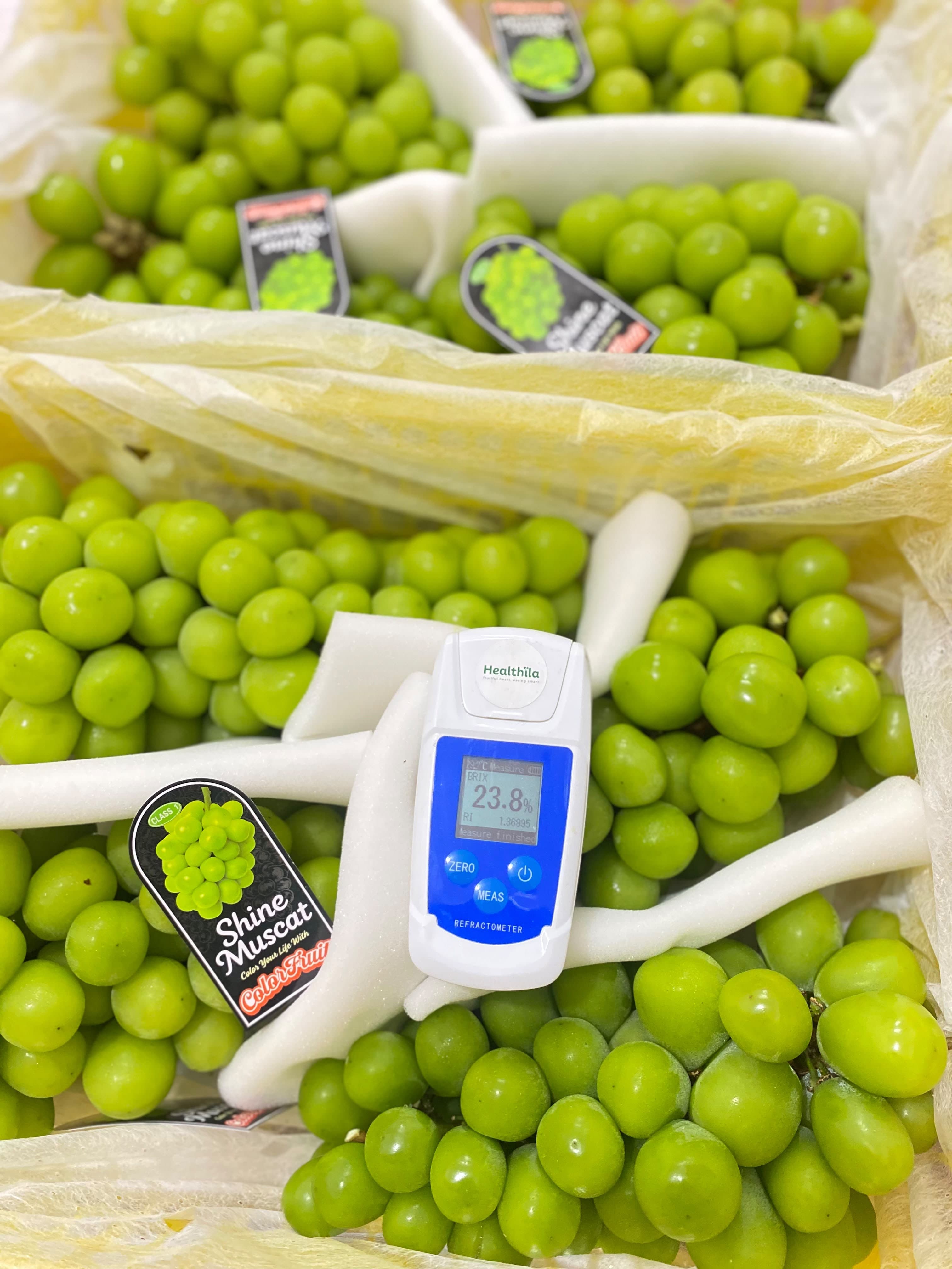 Anggur Green Muscat Loose - Wonderfruit